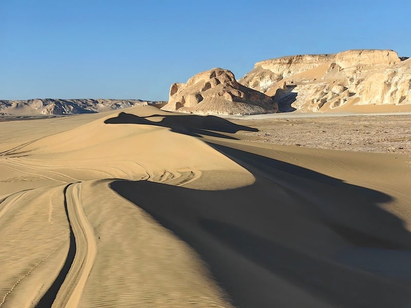 Roam vast landscapes