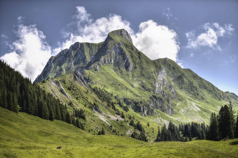 Swiss Alps